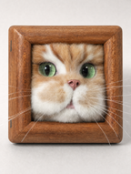 3D Wool Felt Handmade Pet Portrait