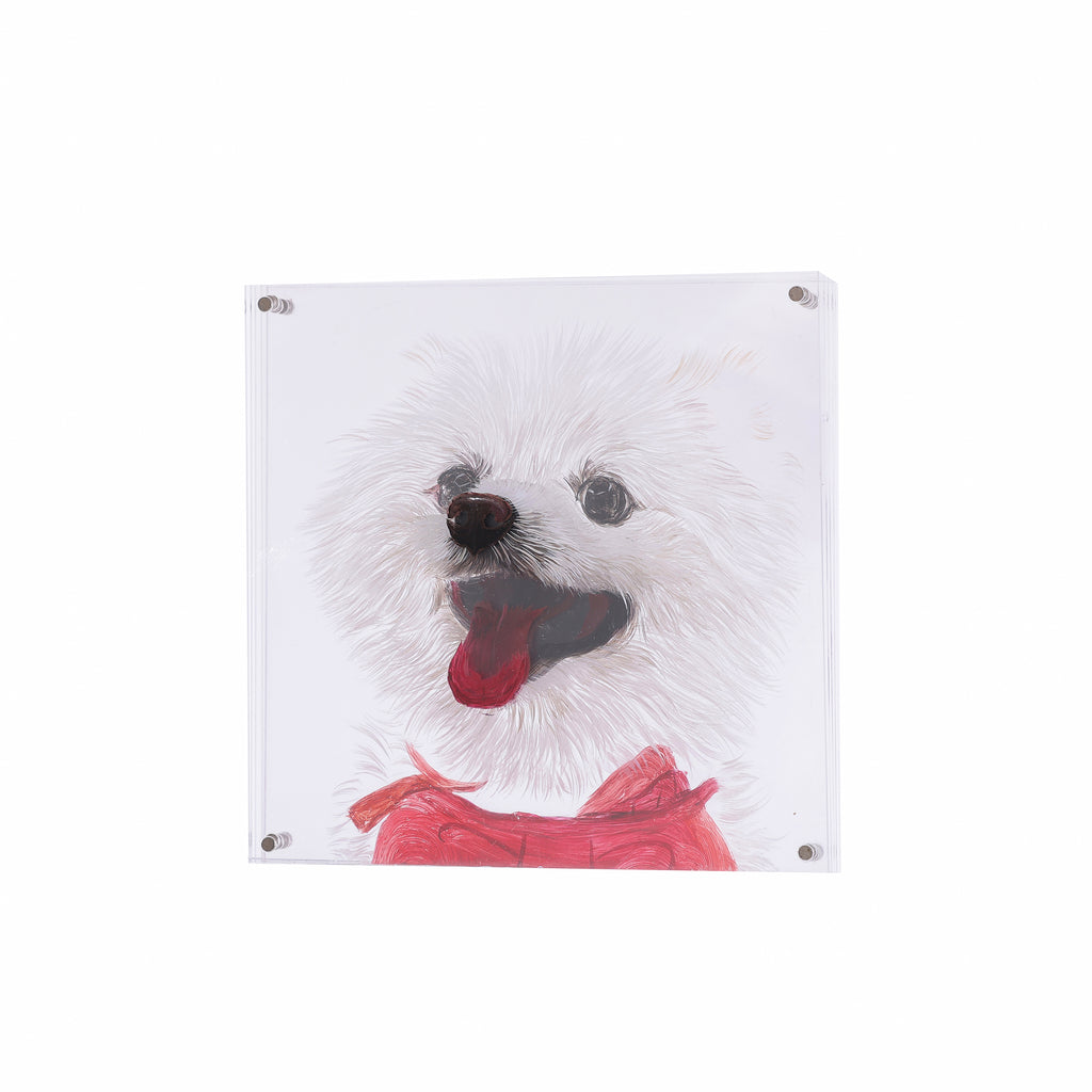 3D Acrylic Hand-Painted Pet Portrait