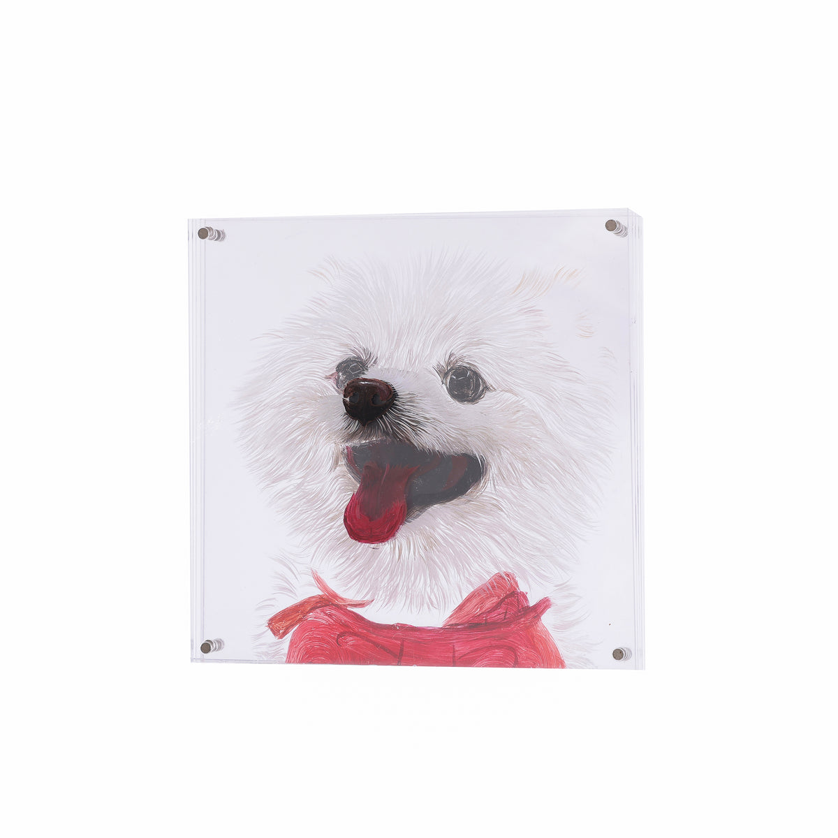 3D Acrylic Hand-Painted Pet Portrait