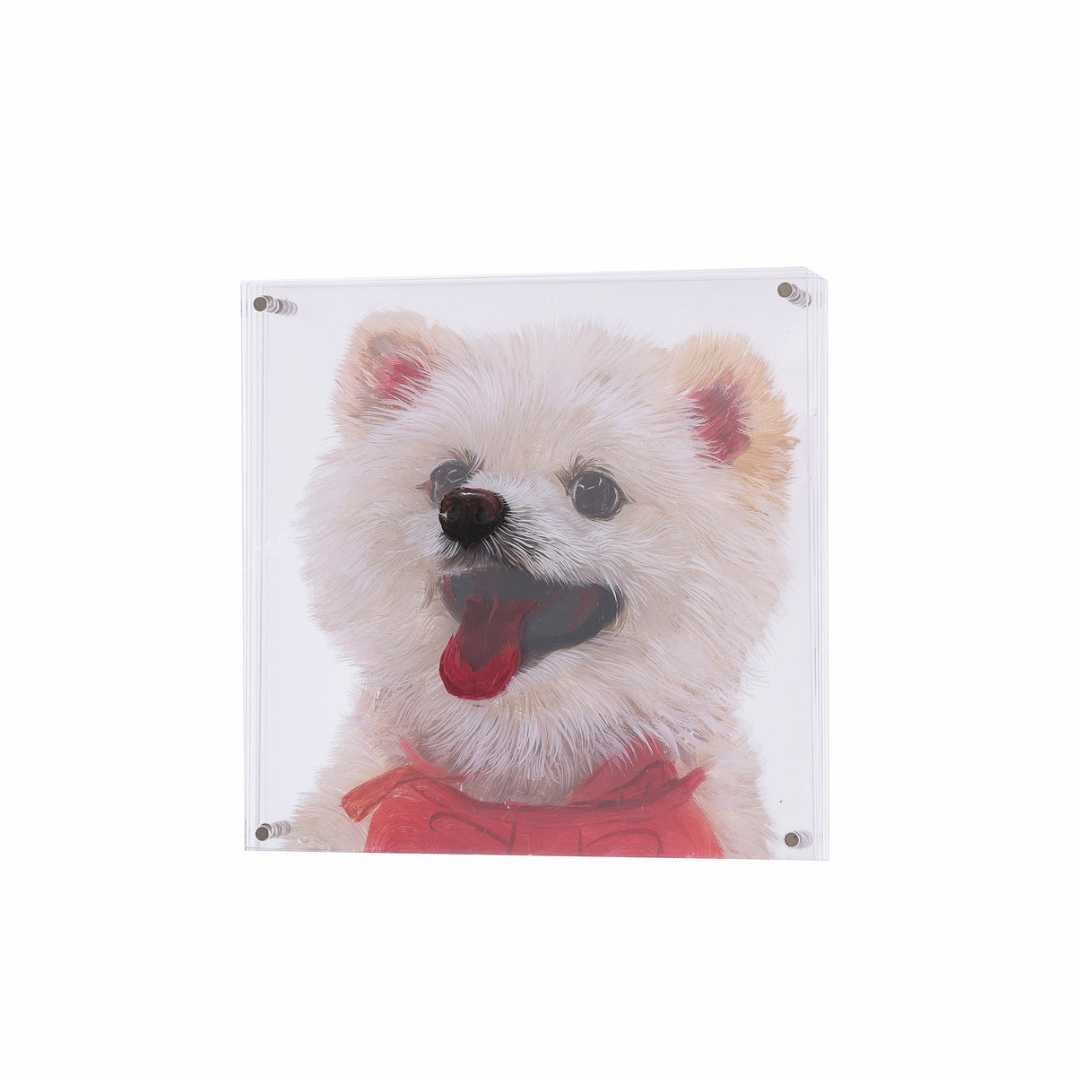 3D Acrylic Hand-Painted Pet Portrait