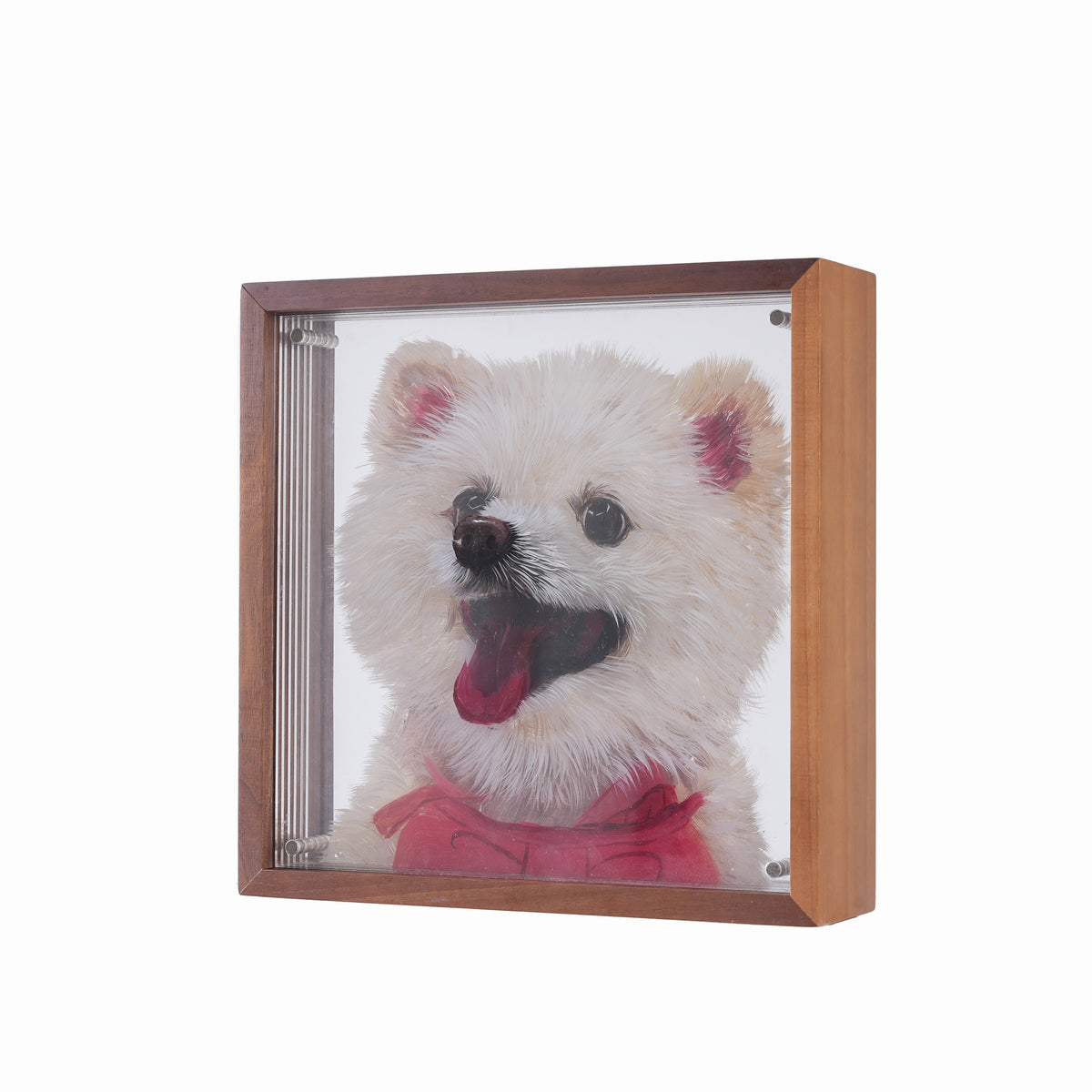 3D Acrylic Hand-Painted Pet Portrait