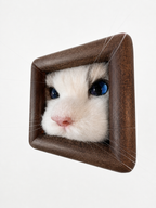 3D Wool Felt Handmade Pet Portrait